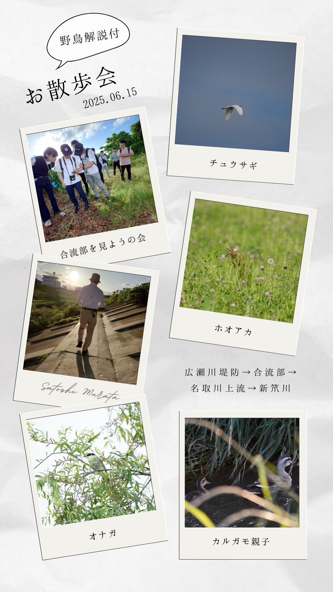 野鳥解説ガイド付きお散歩会